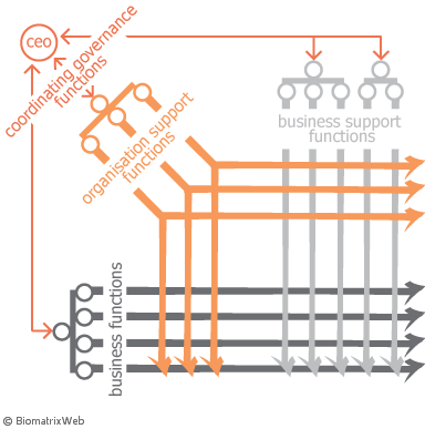 optimal organisational structure